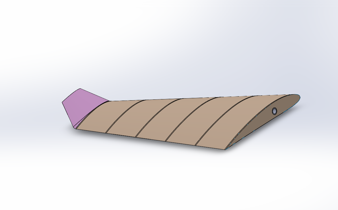 SolidWorks internal wing structure showing spar and rib layout